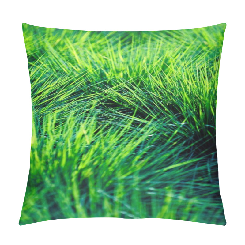 Personality  Closeup Of Grass Pillow Covers