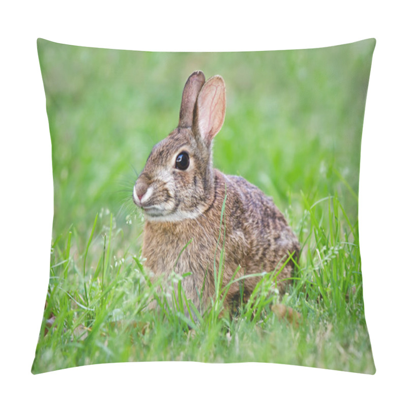 Personality  Cottontail Bunny Rabbit Eating Grass Pillow Covers