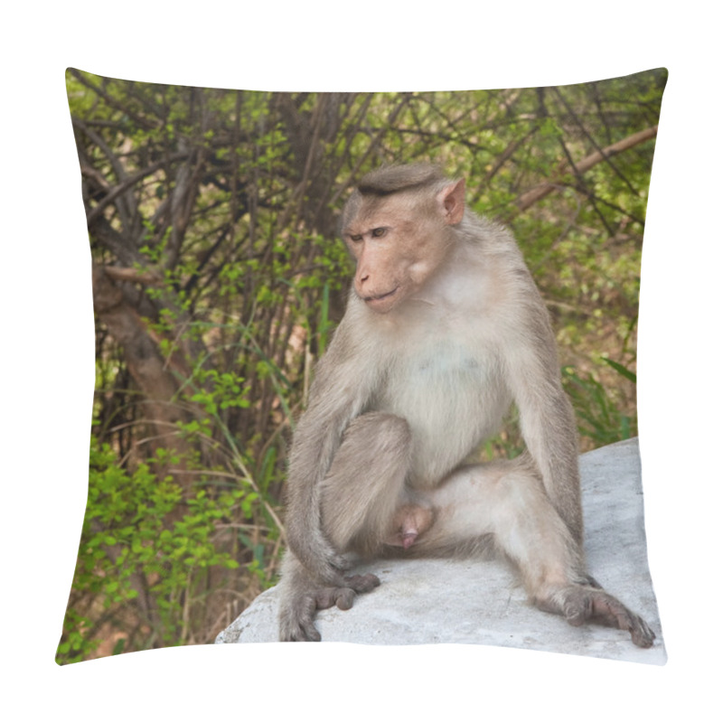 Personality  Bonnet Macaque By The Roadside Pillow Covers