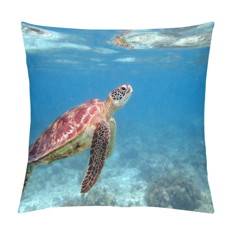 Personality  Snorkeling With A Sea Turtle At Moalboal On Cebu Island Pillow Covers