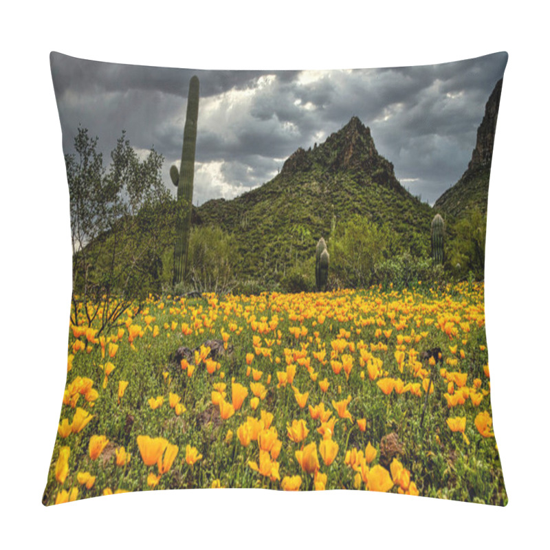 Personality  Spring Wildflowers At Picacho Peak State Park Near Phoenix, Arizona Pillow Covers