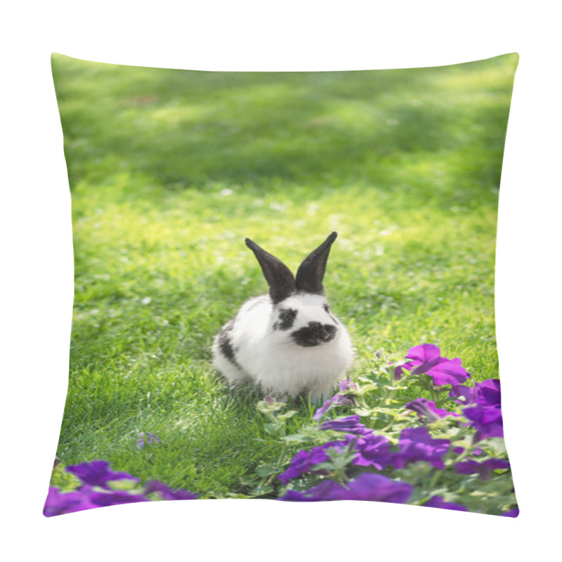 Personality  Cute Black And White Bunny On Green Grass Near Purple Tobacco Flowers Pillow Covers