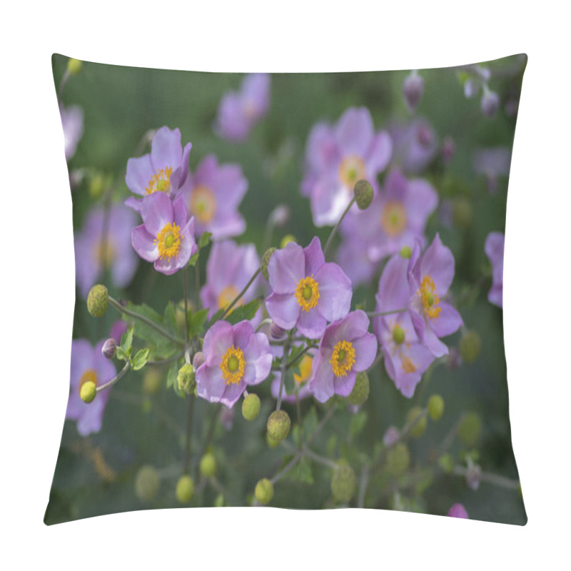 Personality  Anemone Hupehensis Japonica In Bloom, Beautiful Pink Flowering Park Ornamental Plant Pillow Covers