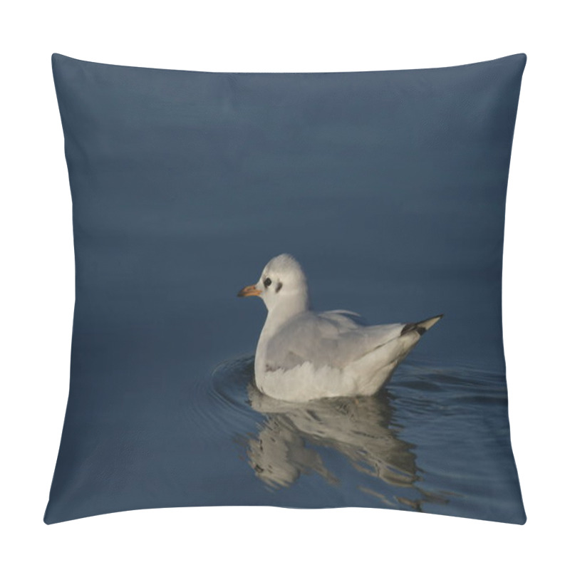 Personality  Black-headed Gull - (Chroicocephalus Ridibundus)  Pillow Covers