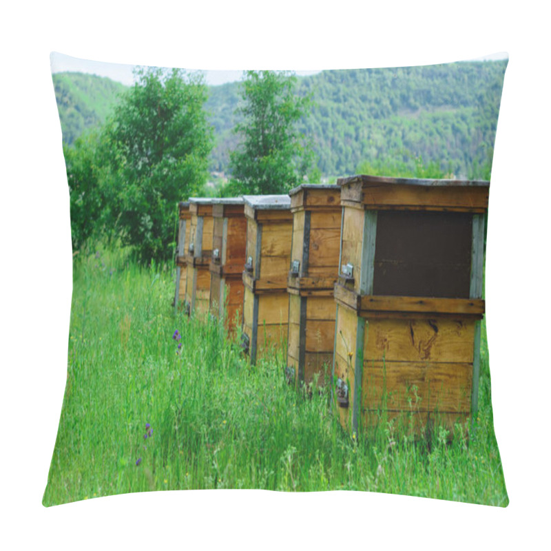 Personality  The Apiary Is Located In Ecologically Pure Mountainous Area. Receiving Ecologically Pure Honey. Mountain Honey Pillow Covers