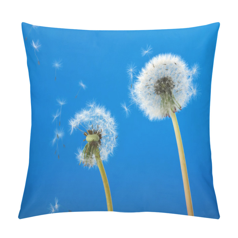 Personality  Dandelions Blowing In The Wind Pillow Covers