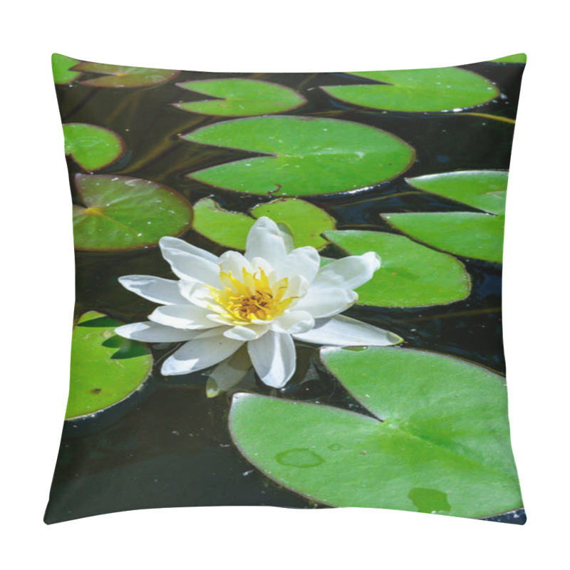 Personality  Nymphaea Blooming With White Flowers In An Artificial Pond, Ukraine Pillow Covers