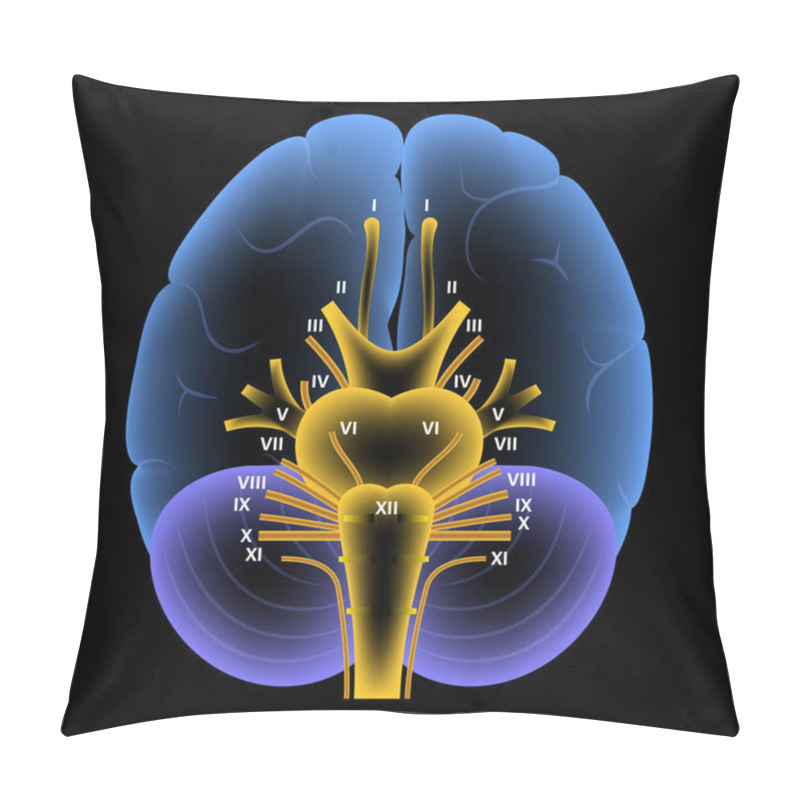 Personality  Cranial Nerves Diagram Pillow Covers