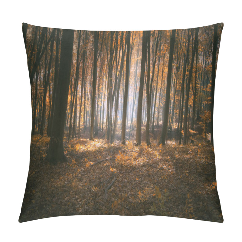 Personality  Autumn Light In Forest Pillow Covers