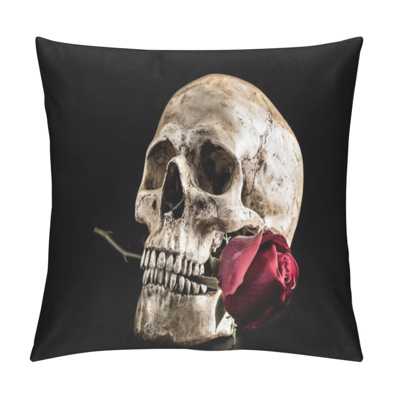 Personality  Still Life Skull Pillow Covers