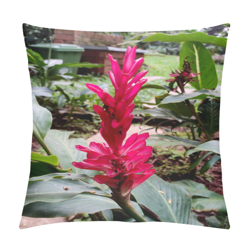 Personality  A Vibrant Alpinia Purpurata, Or Red Ginger, Displays Its Striking Cone-shaped Red Bracts Resembling Feathers. Lush Green Foliage Enhances Its Dramatic Visual Appeal. Pillow Covers