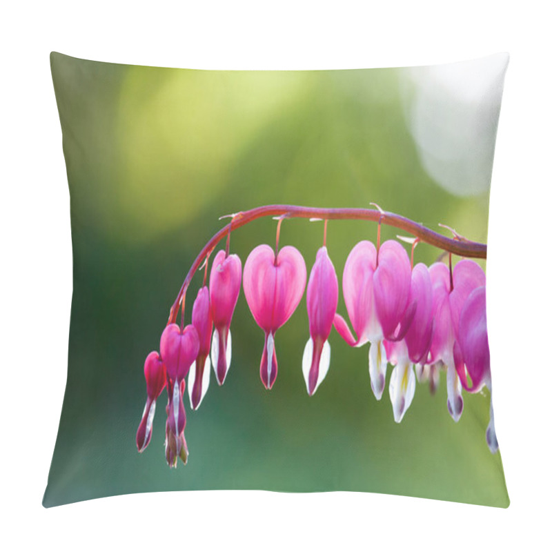 Personality  Pink Bleeding Heart Flower  Pillow Covers