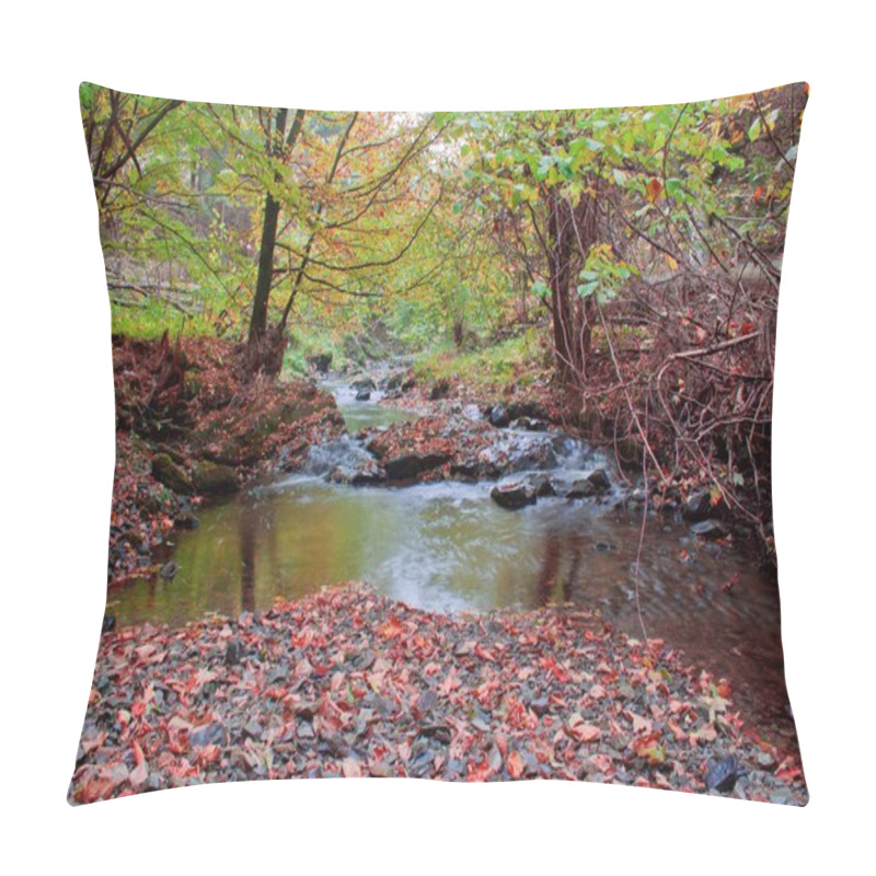 Personality  Autumn Stream In The Forest In Sunny Day Pillow Covers