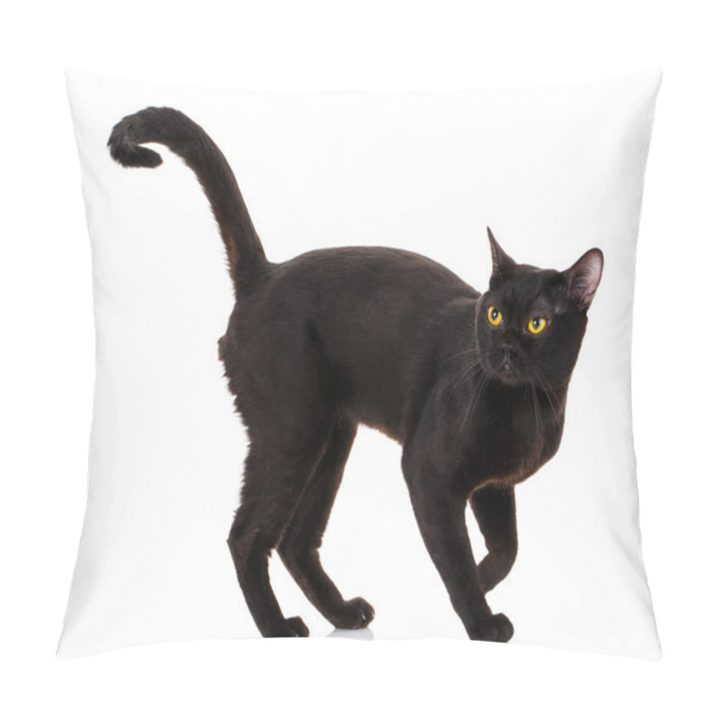 Personality  Bombay Black Cat On A White Background Pillow Covers