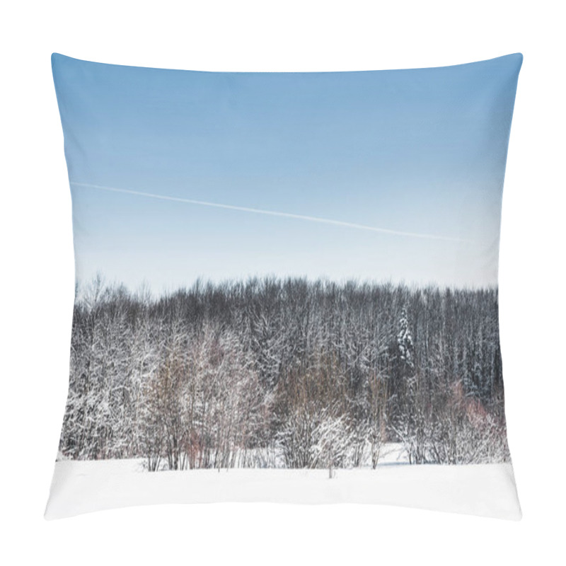 Personality  Clear Blue Sky And Dry Trees In Snowy Carpathians Pillow Covers