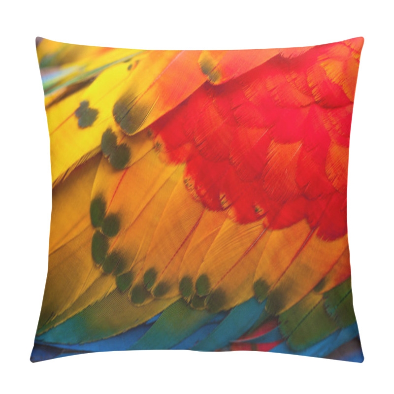 Personality  Ara Macaw Feathers Pillow Covers