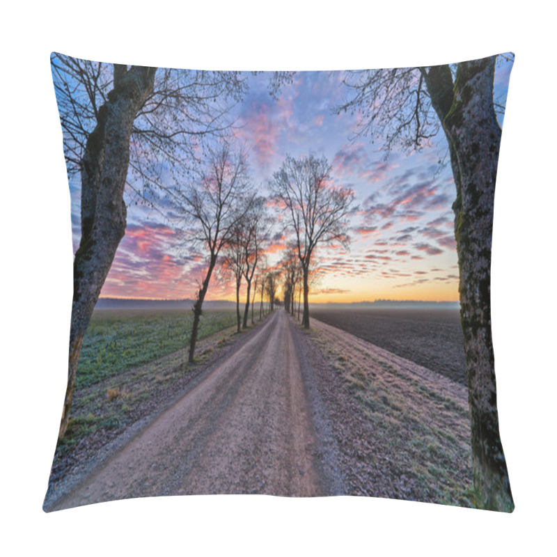 Personality  Dirt Road With Maple Trees In Winter Sunrise Pillow Covers