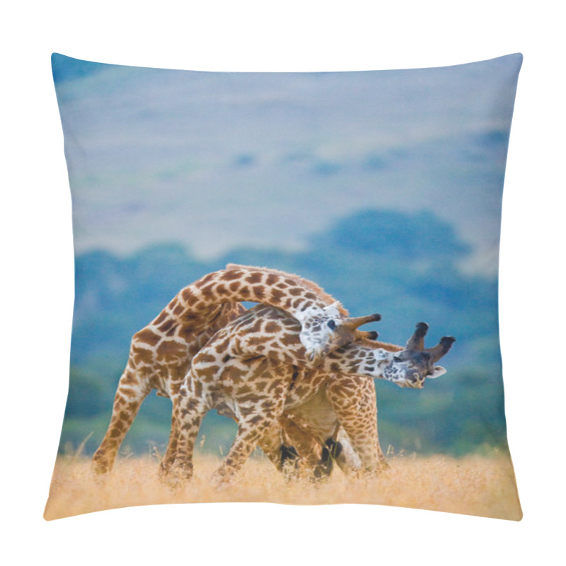 Personality  Couple Of Giraffes In Its Habitat Pillow Covers