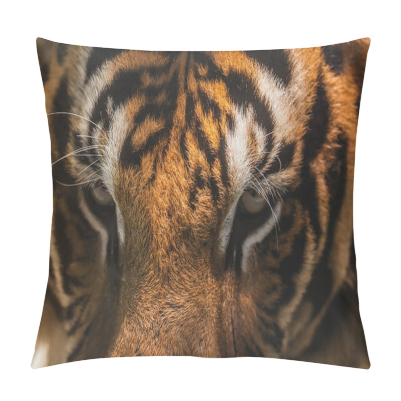 Personality  Tiger In Zoo, Danger Animal. Pillow Covers