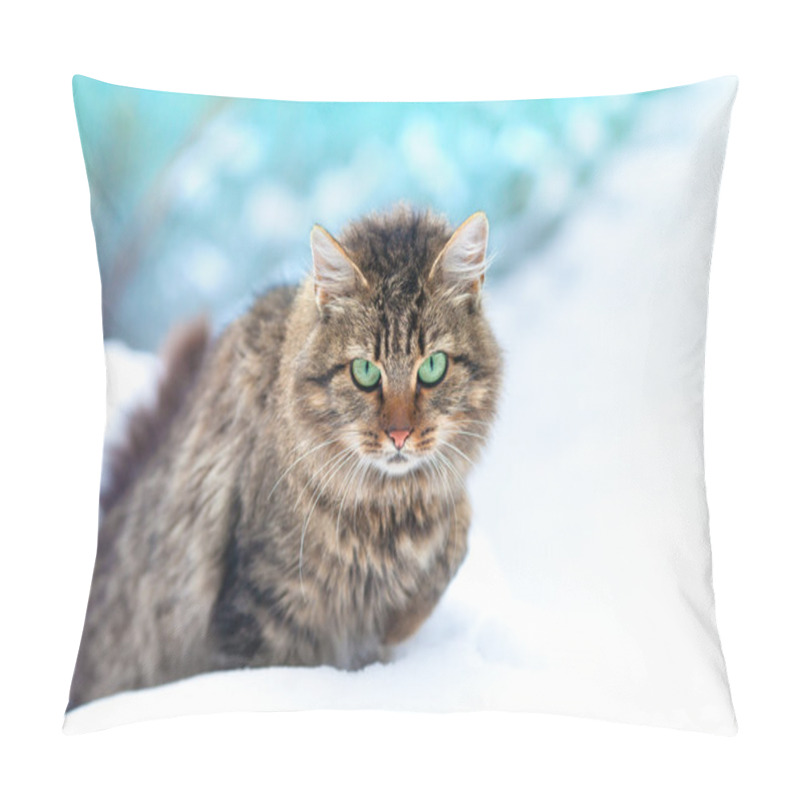 Personality  Cute Siberian Cat Walking In The Snow Pillow Covers