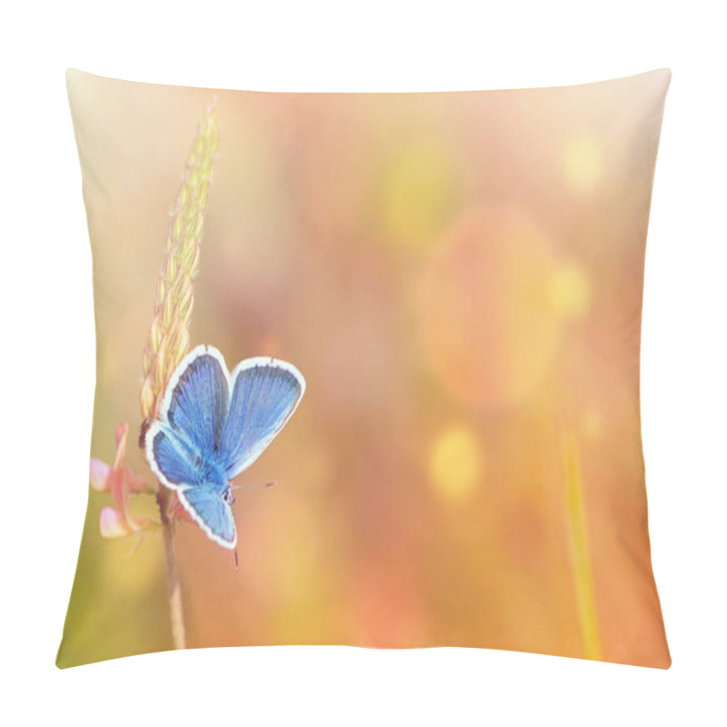 Personality  Wild Flowers And Blue Butterfly In A Meadow In Nature In The Rays Of Sunlight In Summer. Close-up. A Picturesque Colorful Artistic Image With A Soft Focus. Pillow Covers