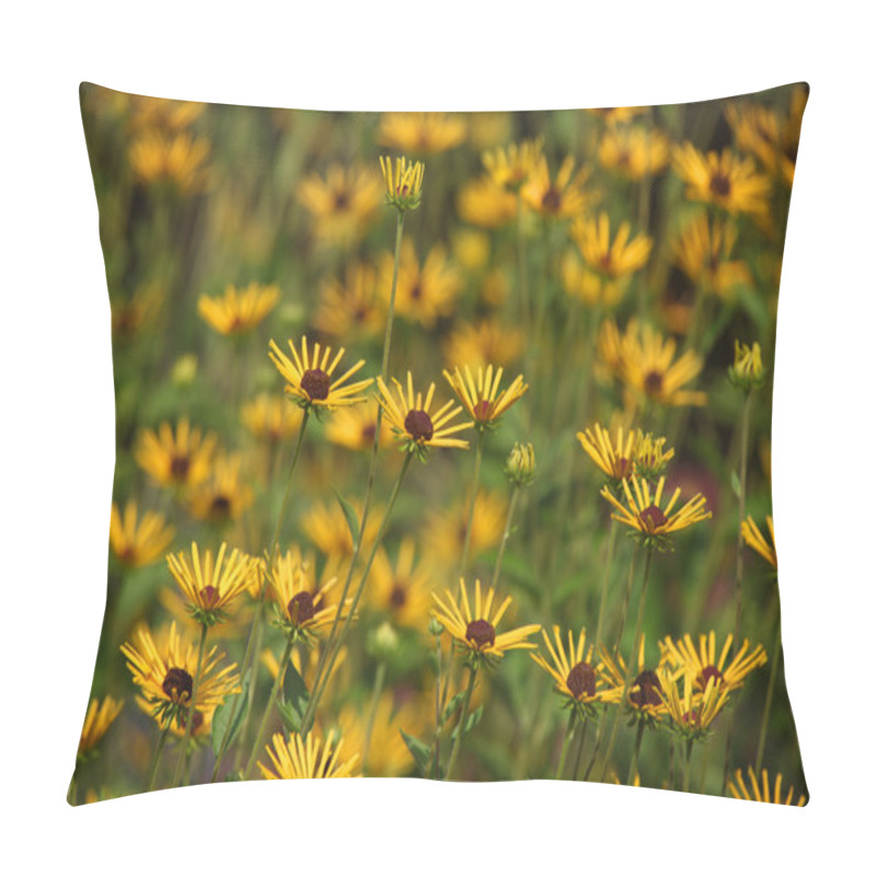 Personality  Black Eyed Susans Pillow Covers