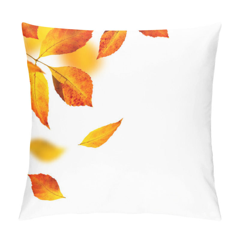 Personality  Autumn Leafs On White Background Pillow Covers