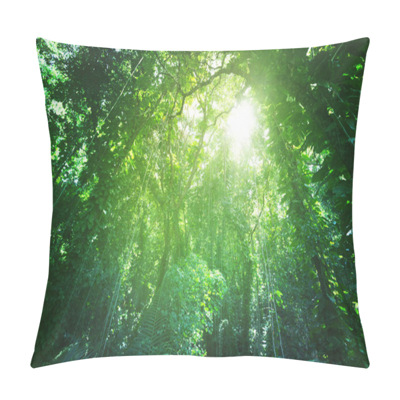 Personality  Jungle Of La Digue Island, Seychelles Pillow Covers