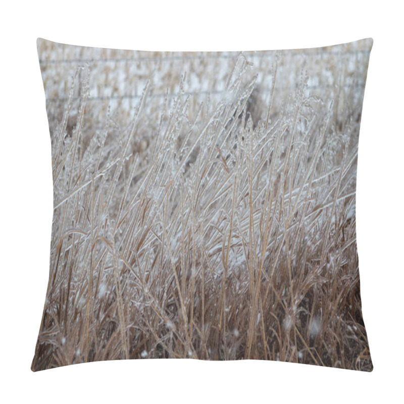 Personality  Close Up Of Ice Covered Grass In Front Of Fence . High Quality Photo Pillow Covers