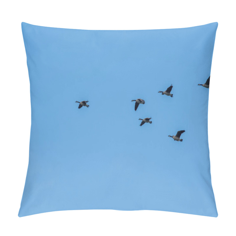 Personality  Flock Of Canada Geese Flying In The Sky.  Vancouver BC Canada  Pillow Covers