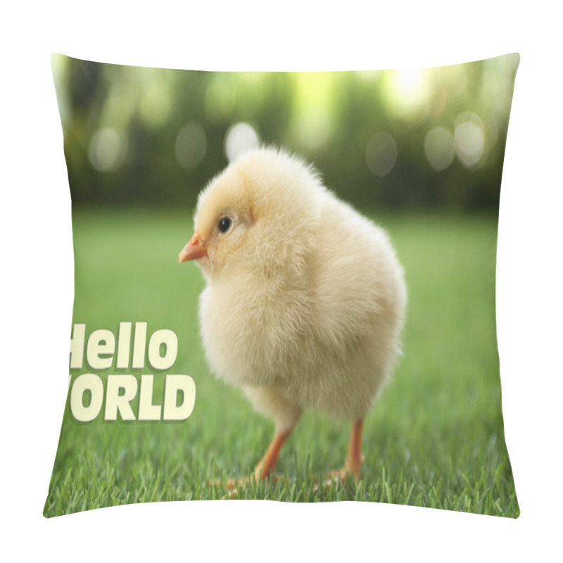 Personality  Hello World. Cute Fluffy Chick On Green Grass Outdoors, Closeup Pillow Covers