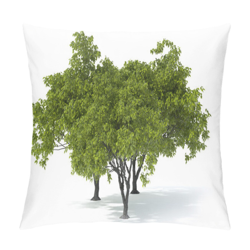 Personality  Tree On A White Background Pillow Covers