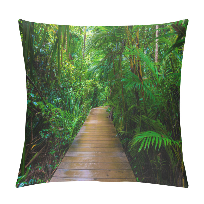 Personality  Wooden Pathway In Deep Green Mangrove Forest Nature Landscape Scene Pillow Covers