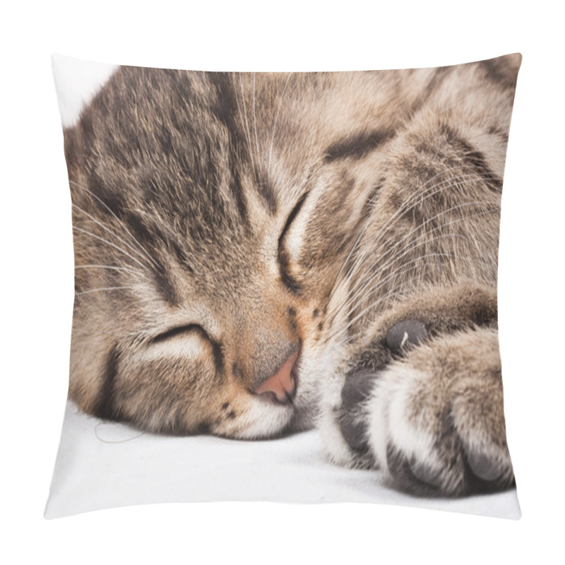 Personality  Sleeping Cat Pillow Covers