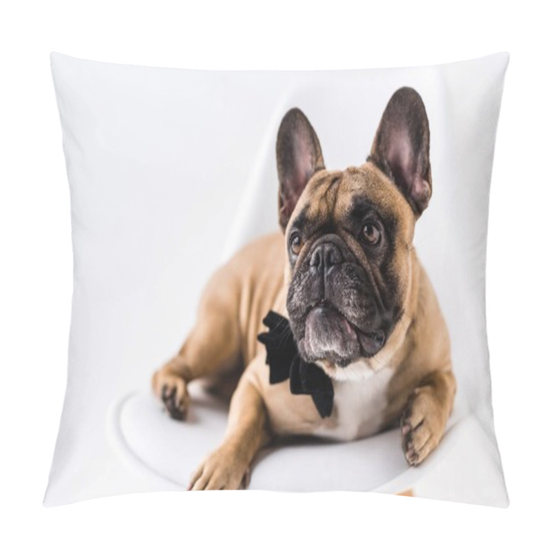 Personality  French Bulldog With Bow Tie Pillow Covers