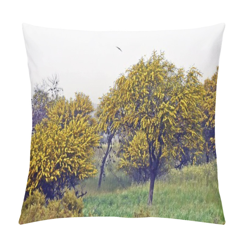 Personality  Close Up Of Yellow Blooming Mimosa Trees Pillow Covers