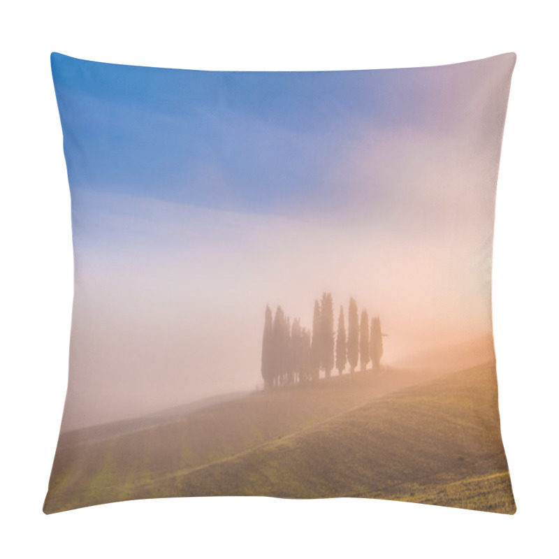 Personality  Tuscan Cypress Trees On The Fields In A Fantastic Light Of The R Pillow Covers