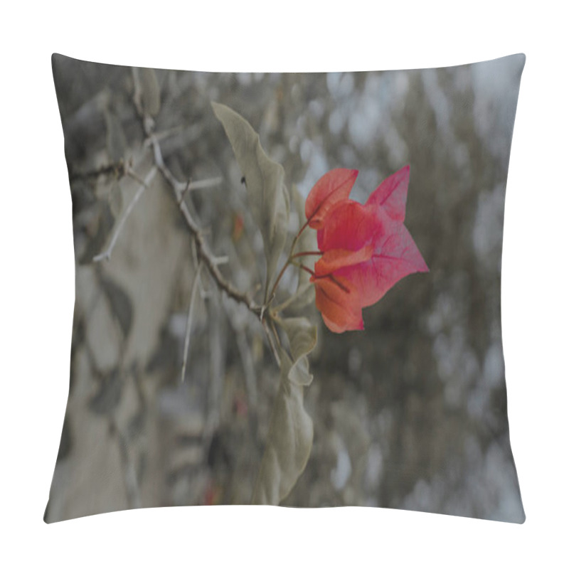 Personality  A Close-up Of Vibrant Red Bougainvillea Flowers Against A Blurred Background Of Green Leaves And Thorny Branches. Pillow Covers