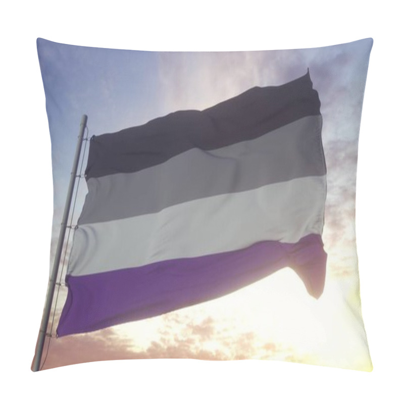 Personality  Asexual Flag Waving In The Wind, Sky And Sun Background. 3d Rendering. Pillow Covers