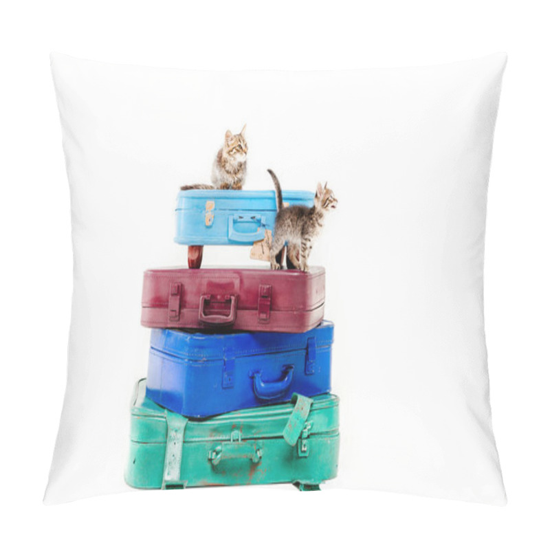 Personality  Cats On Pyramid Of Bags In Front Of White Background Pillow Covers