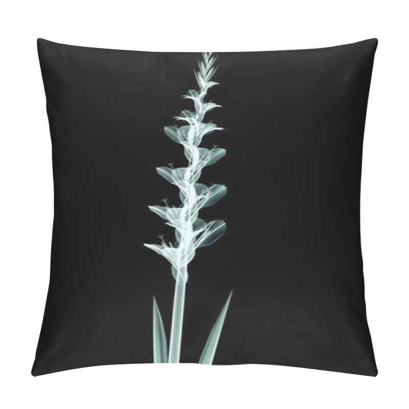 Personality  X-ray Image Of A Flower Isolated On Black , The Gladiolus Pillow Covers