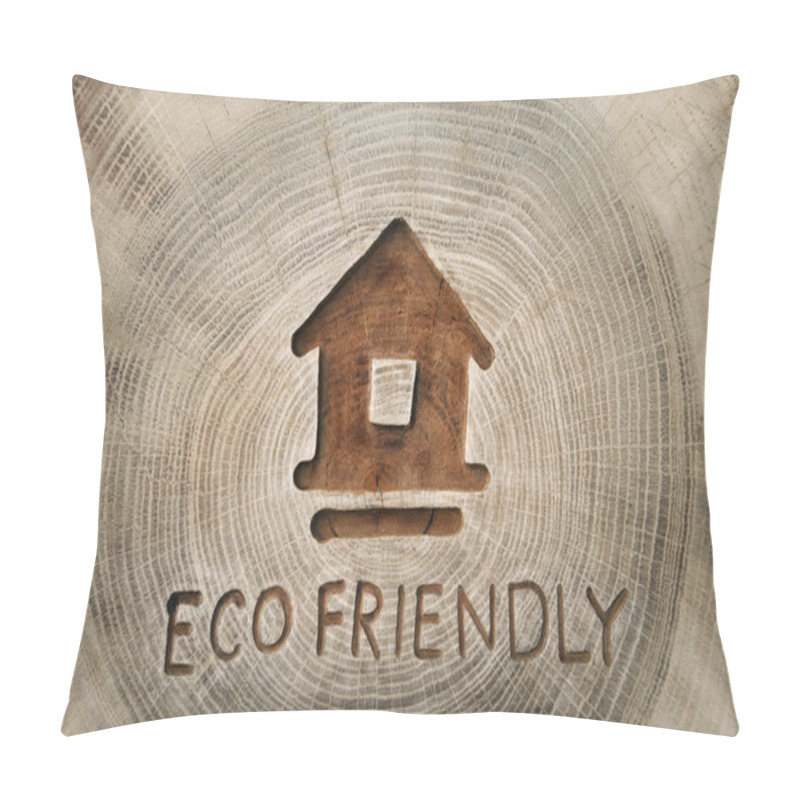 Personality  Ecological Theme, Eco-friendly House. Eco Construction. A Family Pillow Covers