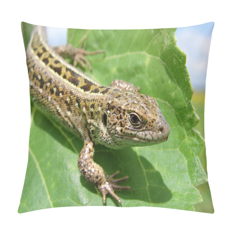 Personality  Green Lizard Pillow Covers