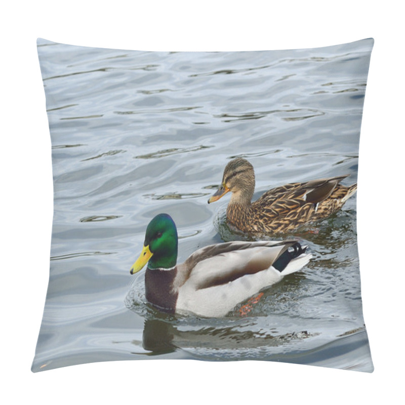 Personality  Pair Of Mallard Ducks, Pillow Covers