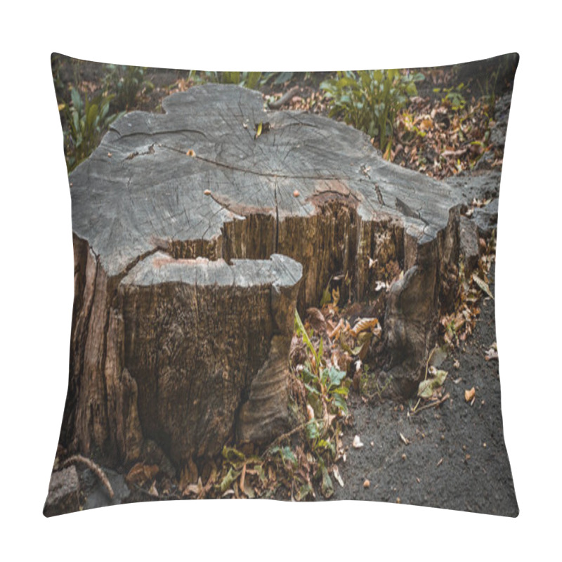 Personality  Dry Tree Stump In The Forest, Close-up Cut Tree, Forest Background. Deforestation Pillow Covers