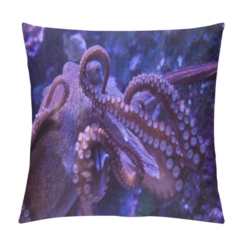 Personality  Octopus Pillow Covers