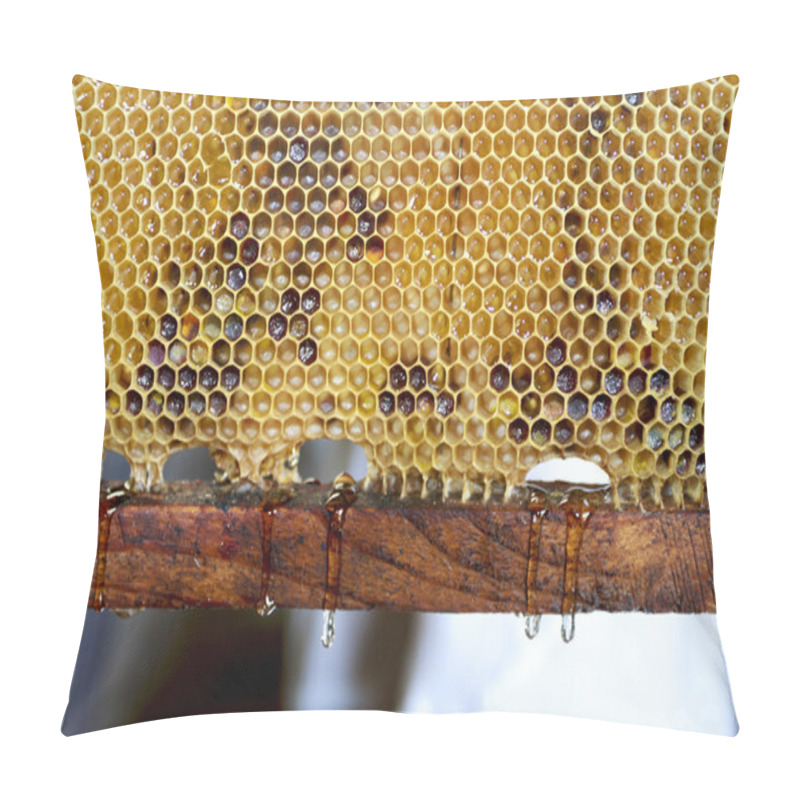 Personality  Fresh Dripping Honey Pillow Covers