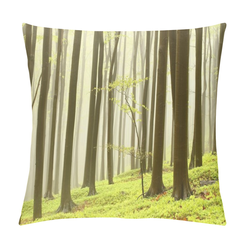 Personality  Misty Spring Forest Pillow Covers