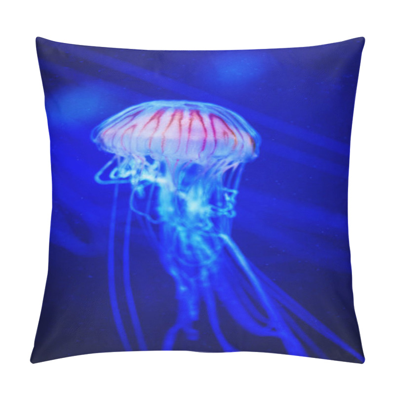 Personality  Beautiful Jellyfish, Medusa In The Neon Light With The Fishes. Underwater Life In Ocean Jellyfish. Pillow Covers