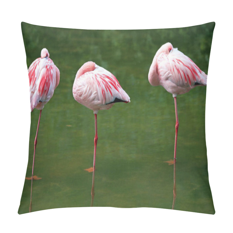 Personality  Flamingos At The Roost Pillow Covers